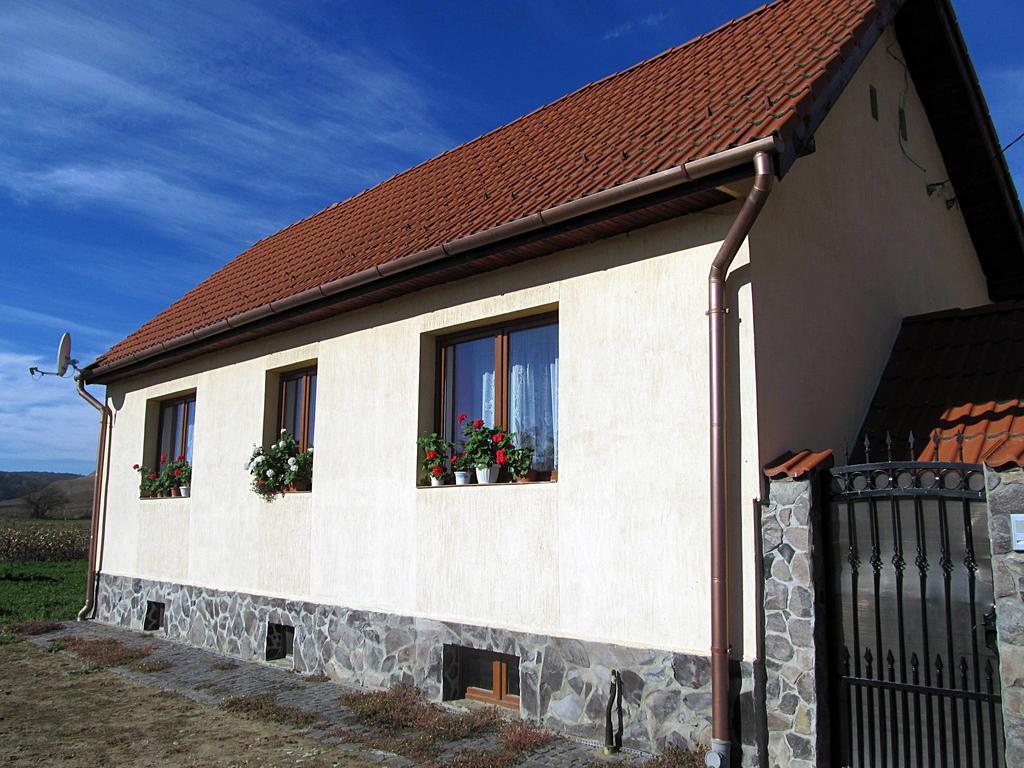 Casa Simion Villa Sibiu Bagian luar foto